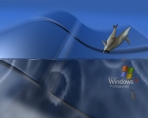3D Desktop Dolphins ScreenSaver